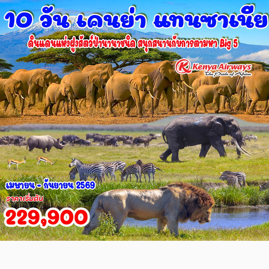ทัวร์เคนย่า แทนซาเนีย 10วัน 7คืน (KQ)